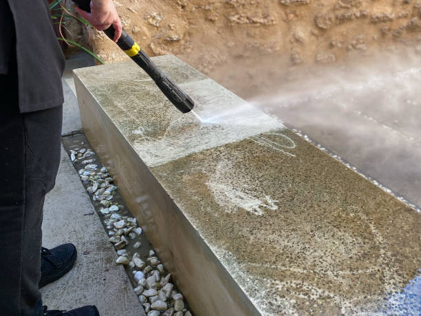 Best Roof Power Washing Services  in Delft Colony, CA