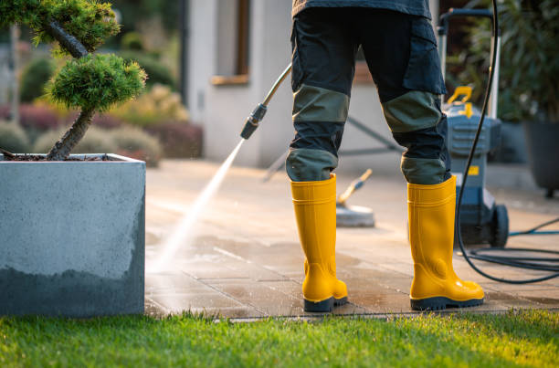 Best House Pressure Washing  in Delft Colony, CA